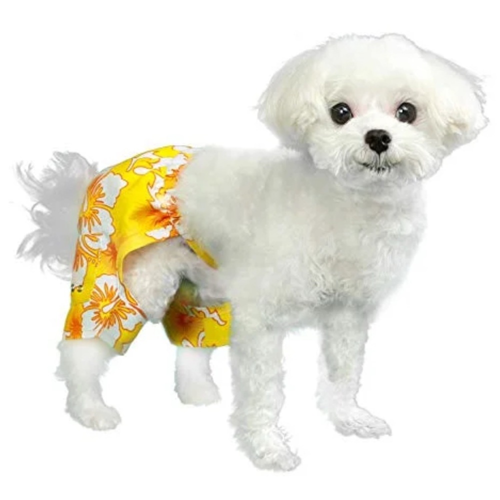 Boy Dog Belize Swim Suit Trunks Bottom